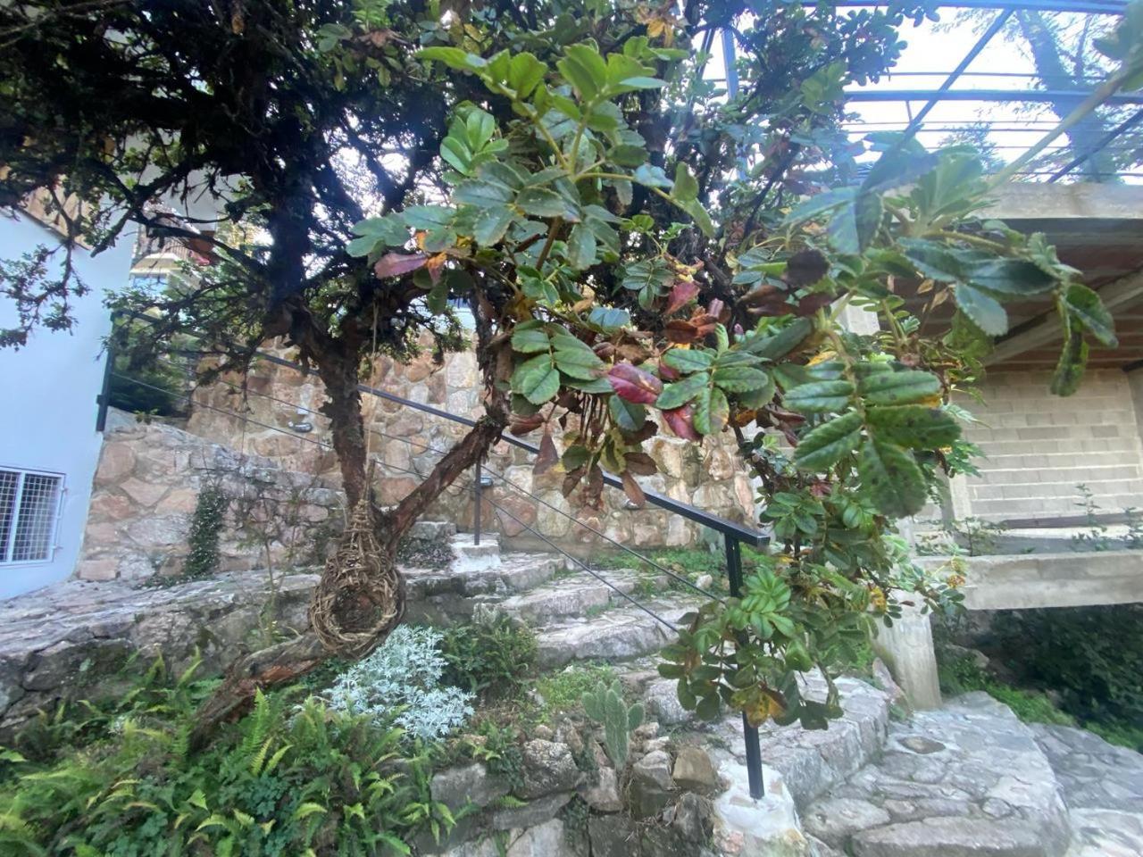 Casa Raiz Cumbrecita Bed & Breakfast La Cumbrecita Ngoại thất bức ảnh
